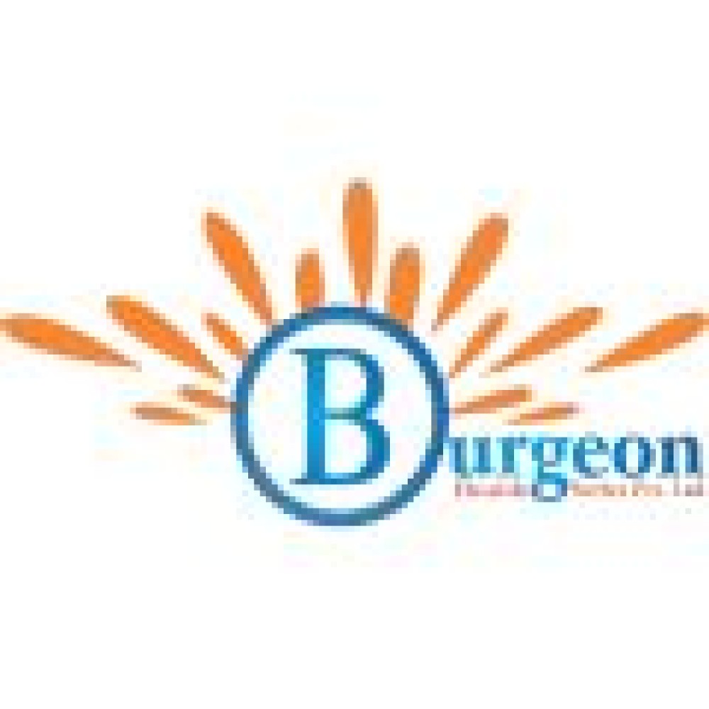 Burgeon Health Series