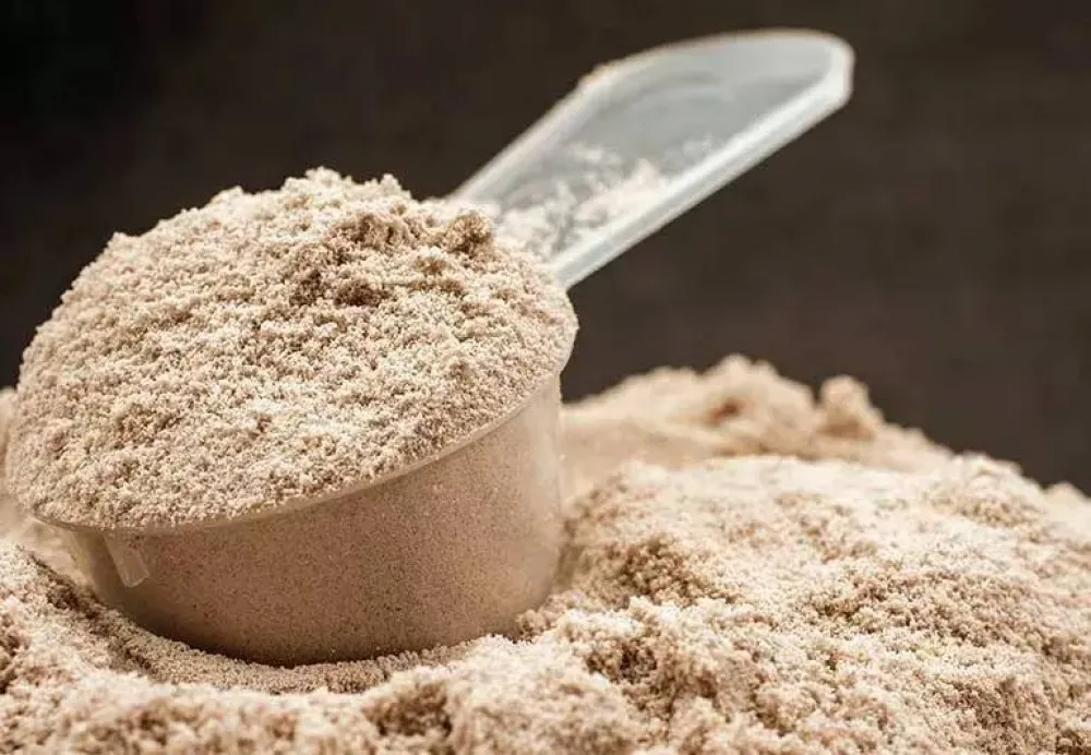 Best Pharma Franchise Company for Protein Powder Range