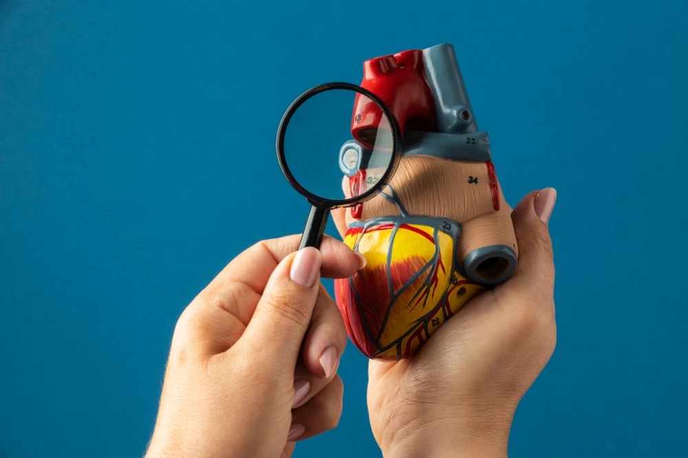 cardiac diabetic pcd pharma franchise