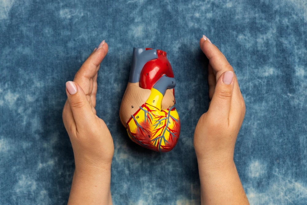 cardiac diabetic franchise company