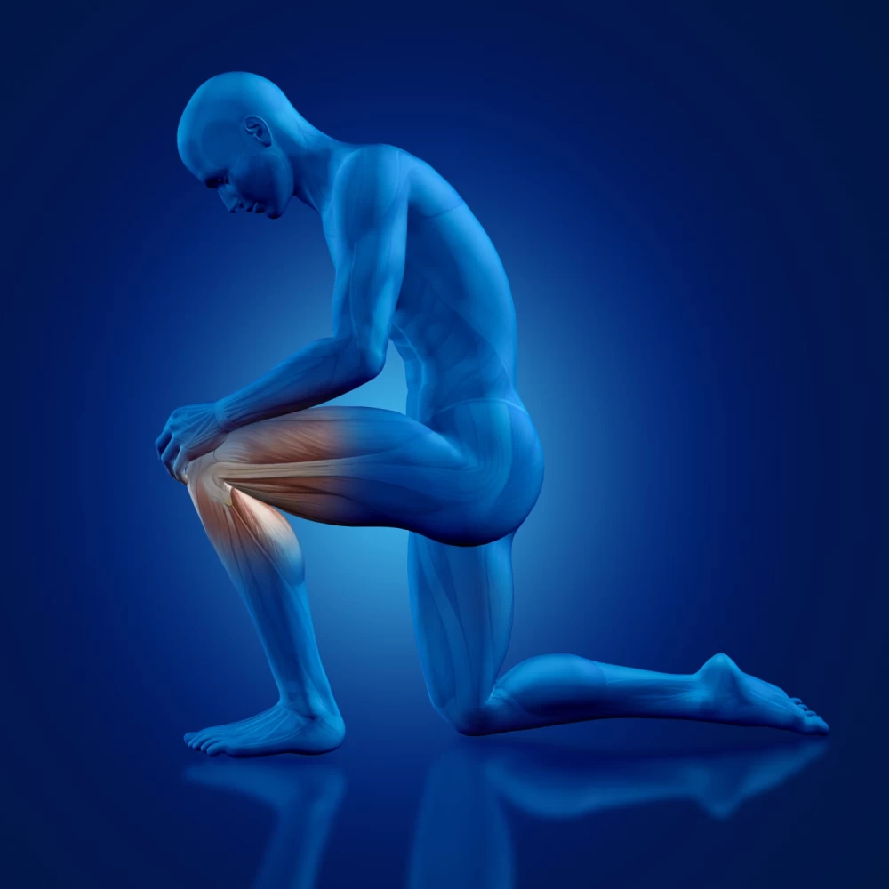orthopedic company