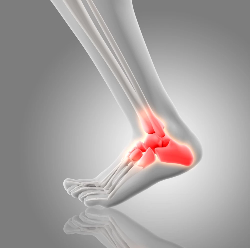 orthopedics manufacturer