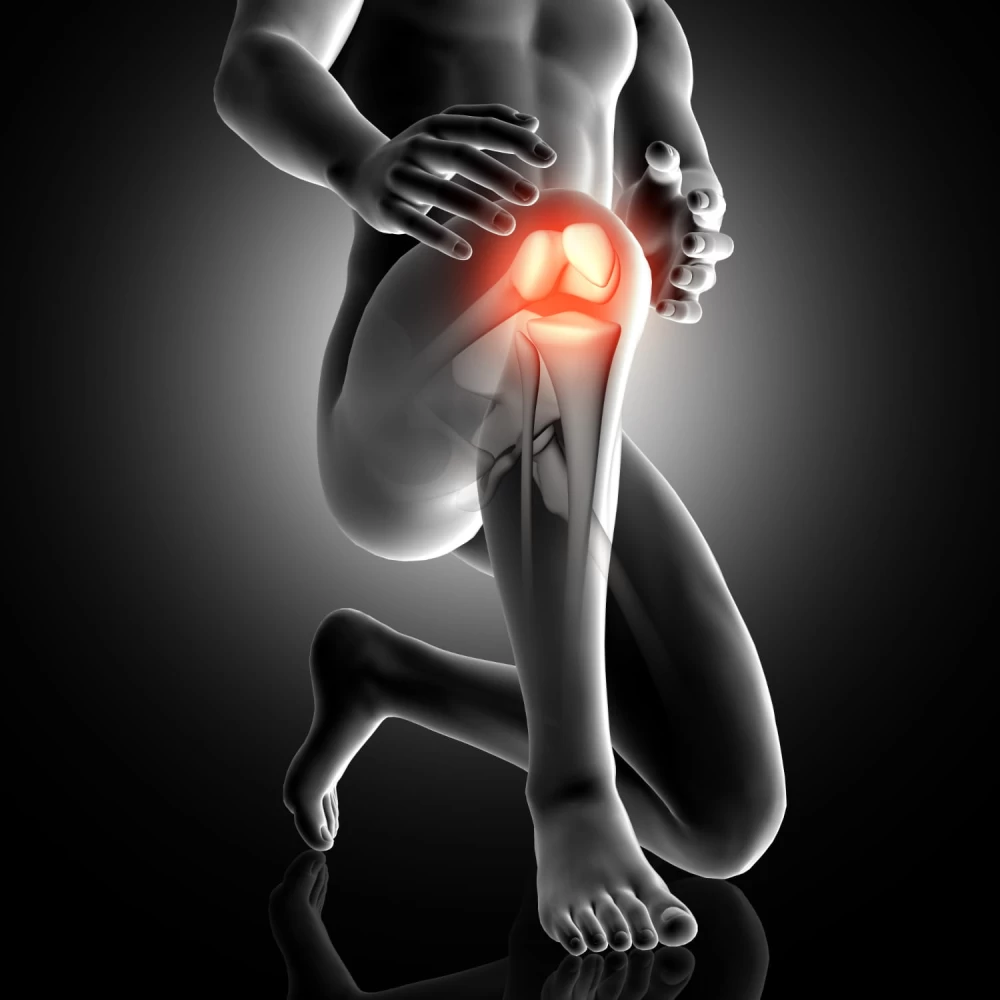 ortho pcd companies